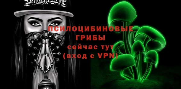 метадон Богородицк