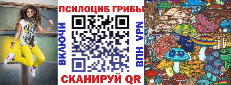 гидра ONION  Колпашево  Псилоцибиновые грибы прущие грибы  хочу  